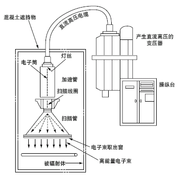 1610027737684527.png 5bcd601577339.png